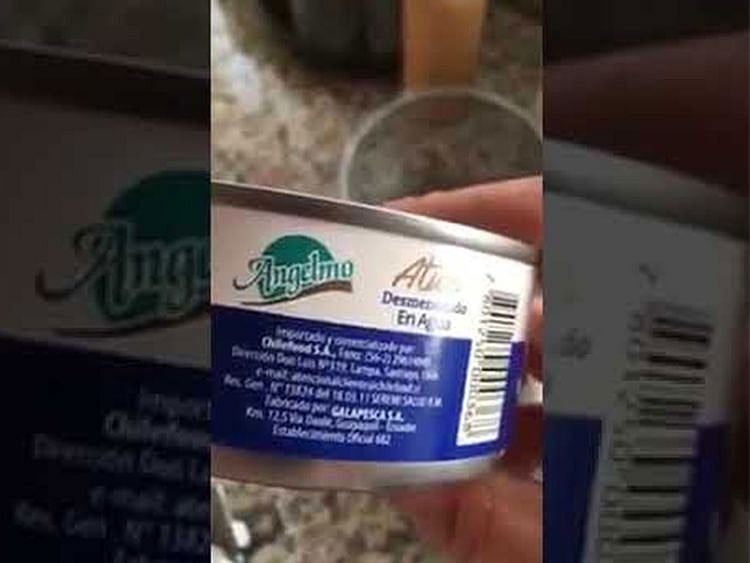 Angelmo tuna