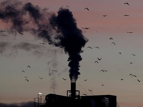 Birds fly past a smoking chimney in Ludwigshafen, Germany. 
