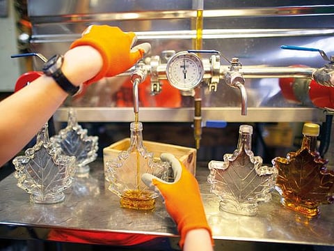This season’s maple syrup is bottled at Fulton’s Pancake House and Sugarbush in Pakenham, Canada. 
