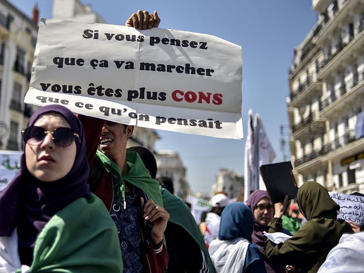 Algiera web-1557486964197