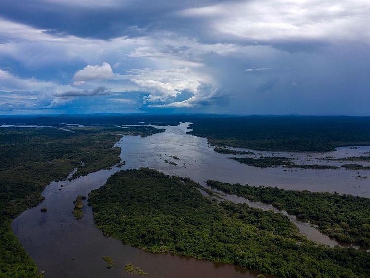 OPN_190516 Amazon rainforest-1558008024836