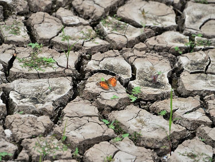RDS CLIMATE-1558360479017