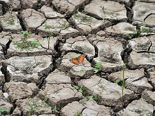 Reader's views: Our planet is dying