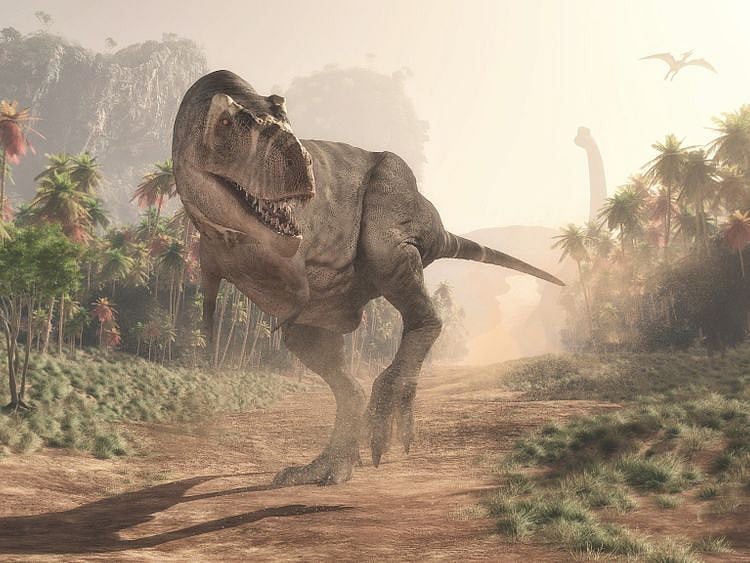 opn_190520 T-Rex-1558357145585