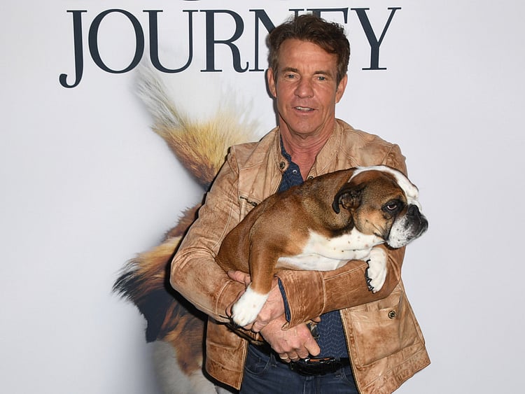 A Dog's Journey Dennis-1558433912118
