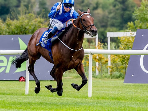 Scott Serio/CSM/REX/Shutterstock