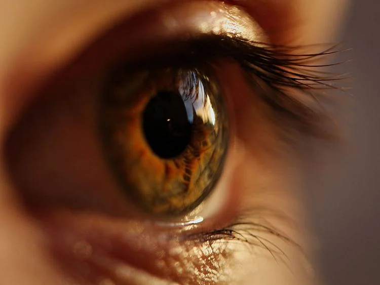 Eye, generic