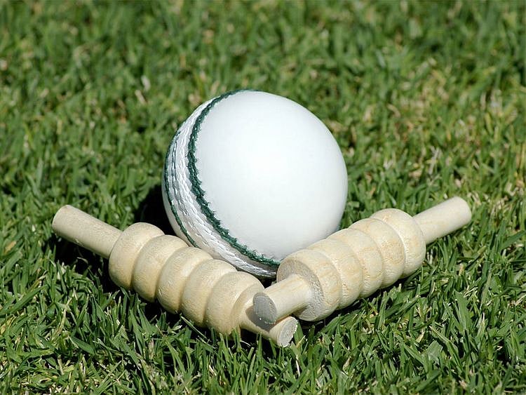 White cricket ball