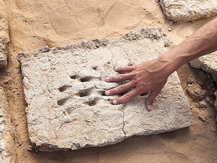 NAT-190529-Iron-Age-mudbrick-(Read-Only)