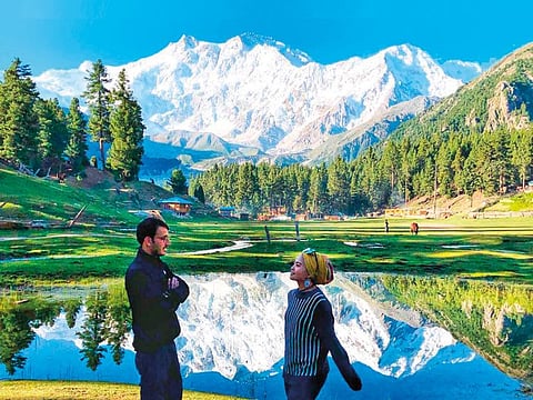 Summer scenery at Fairy Meadows, beneath the snow covered peak of Nanga Parbat (8126m) in Gilgit-Baltistan region of northern Pakistan. 