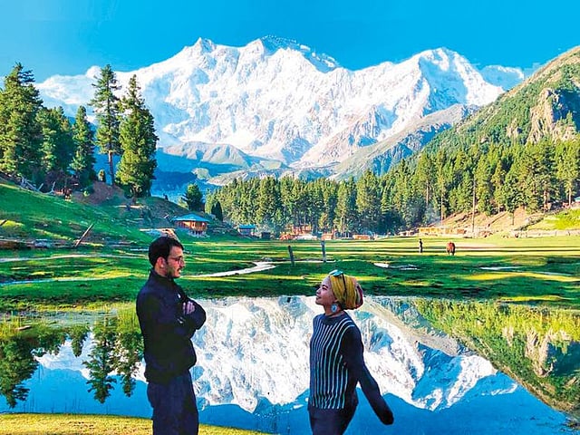 Summer scenery at Fairy Meadows, beneath the snow covered peak of Nanga Parbat (8126m) in Gilgit-Baltistan region of northern Pakistan. 