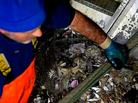 A fishermen recovers plastic waste from a fishing net onboard a fishing boat off the coast of San Benedetto del Tronto.