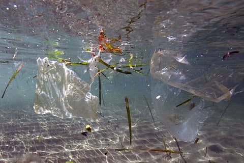 This illustration picture taken on May 30, 2019 shows plastic waste floating in the sea in Marseille. 