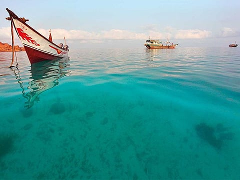 Concerns about climate have seeped into the wider public consciousness. Countering its effect is a priority.