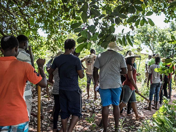 Participants to an "agro-bootcamp"