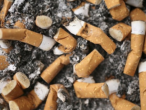 close up shot of cigarette butts.
