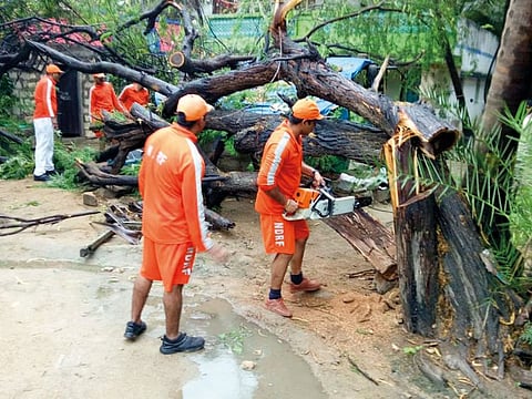 NDRF soldiers cut branches of an uprooted tree that fell in the compound of a house from Cyclone Vayu at Diu, India, on Thursday, June 13, 2019. 