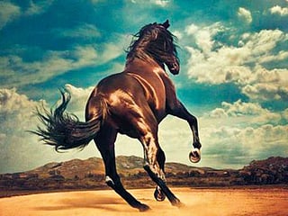 Music Review: ‘Western Stars’ sets new path for Bruce Springsteen