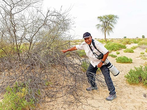 Dr Reza Khan is credited with recording several wild plants in the UAE.