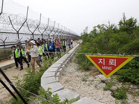 Hikers and journalists walk along the DMZ Peace Trail in the demilitarized zone in Goseong, South Korea.