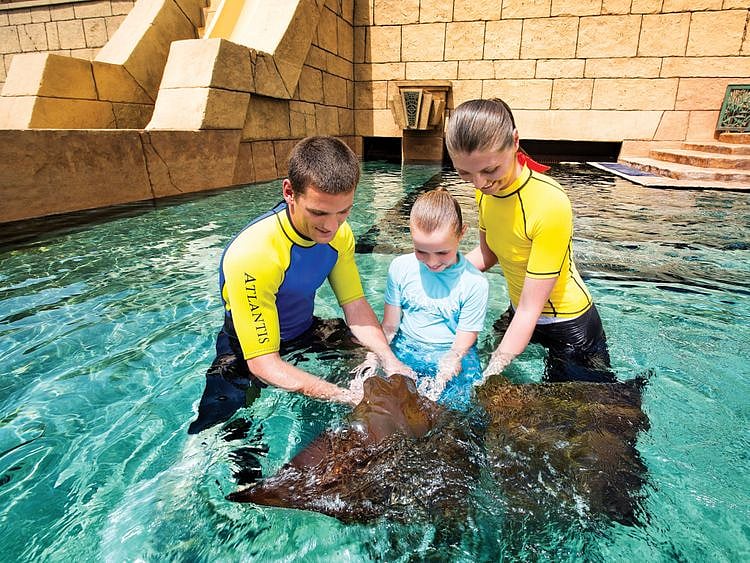 aquaventure-rayfeeding-1562159636807