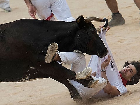 A participant is tossed by a heifer bull during the first bullrun of the San Fermin festival in Pamplona, northern Spain.