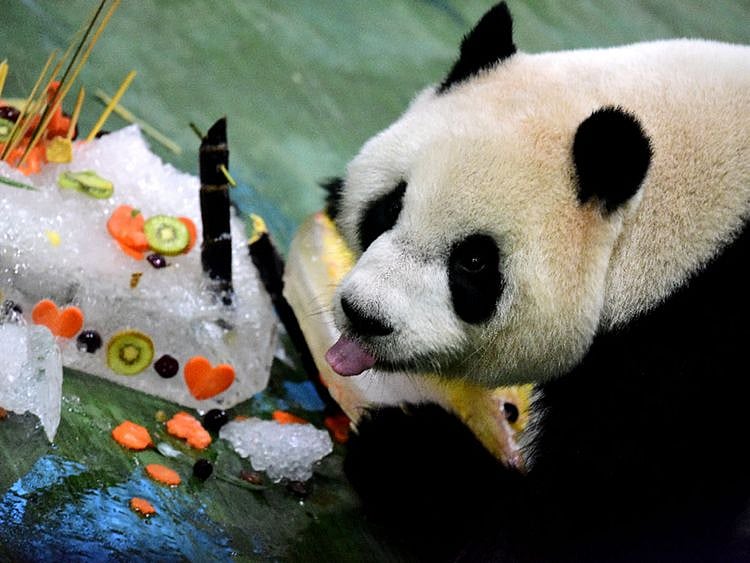 138204916_15624301721961n