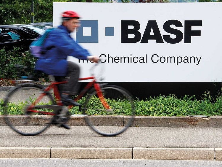 BASF plant