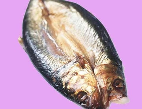 What's in a Cornish sardine?