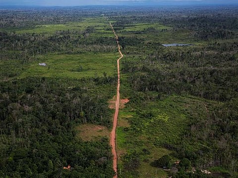 Cutting down trees at the current rate in the Amazon could lead to runaway deforestation, environmentalists say