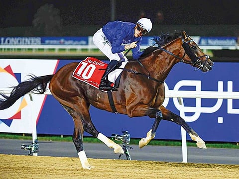 Thunder Snow wins the Dubai World Cup at the Meydan Racecourse. Thunder Snow goes into the Whitney Handicap as the second-favourite behind McKinzie at Saratoga Springs.