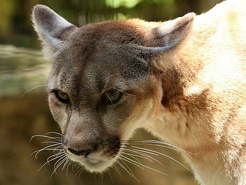 For illustrative purposes only.