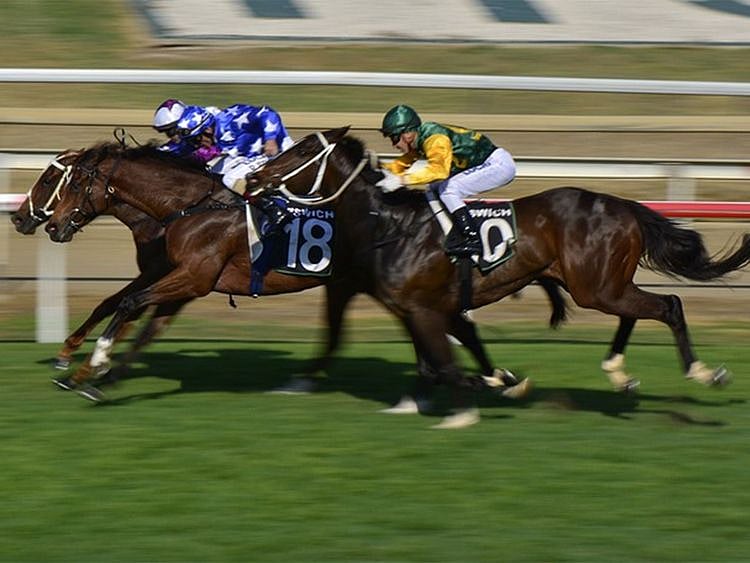 $20 million Saudi Cup a big boost for international horse racing