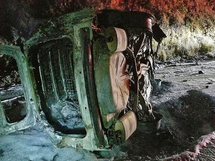 Bear_Falls_on_Car_83878