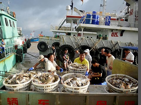 Workers unload seafood from fishing boats before super typhoon Lekima makes landfall in Zhoushan, Zhejiang province, China August 8, 2019. Picture taken August 8, 2019. 