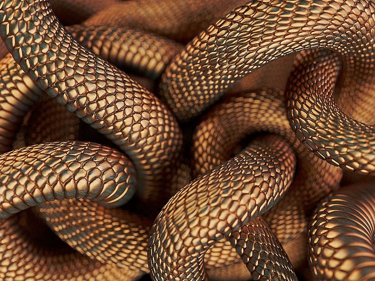 Bronze coloured snakes