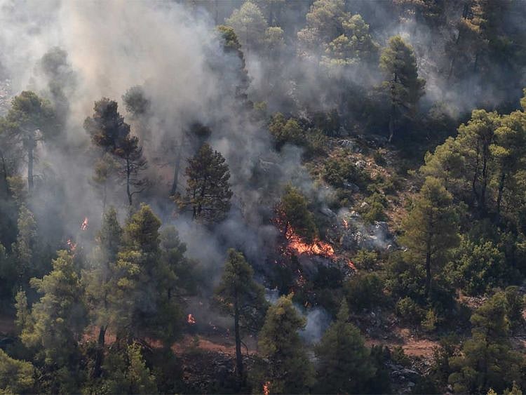 190816 fire burns evia