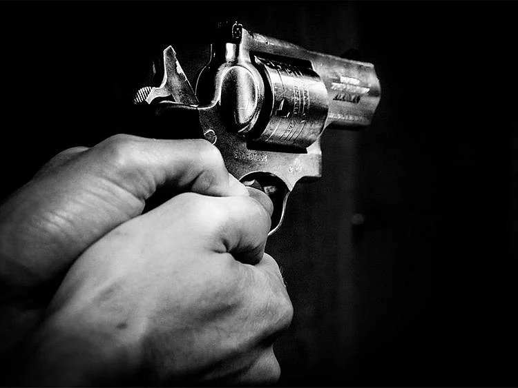 shot dead, gun, shoot, fire