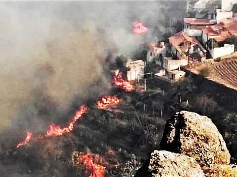Flames from a forest fire burn close to houses in El Rincon, Tejeda on the Spanish Gran Canaria island on Sunday. Authorities say around 5,000 people have been evacuated.