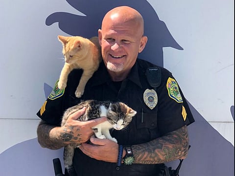 Thanks @MuncieACS for giving our officers a tour of your facility today! Did you know they currently have 350 cats/kittens needing homes? 