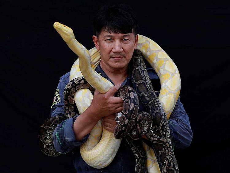 190821 snake catcher