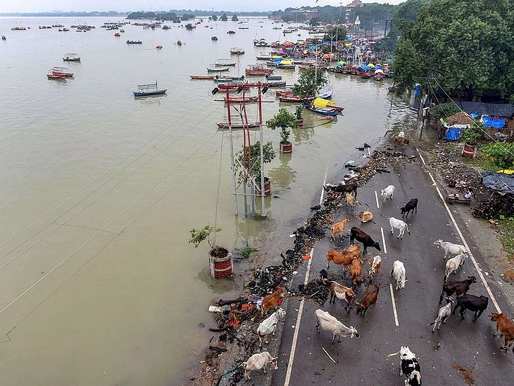 A river in Prayagraj