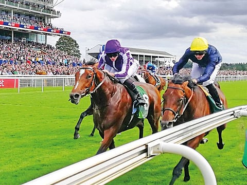 Crystal Ocean (right) is edged out by Japan (left) during the mile-and-a-quarter Juddmonte International Stakes (Group 1) contest at York Racecourse in the UK on Wednesday.