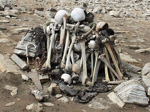 A total of 76 skeletal samples (72 long bones and four teeth) were sampled at the Anthropological Survey of India, Kolkata.