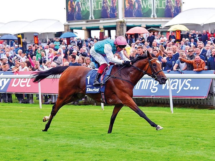 Enable comfortably saw off the challenge of Irish raider Magical