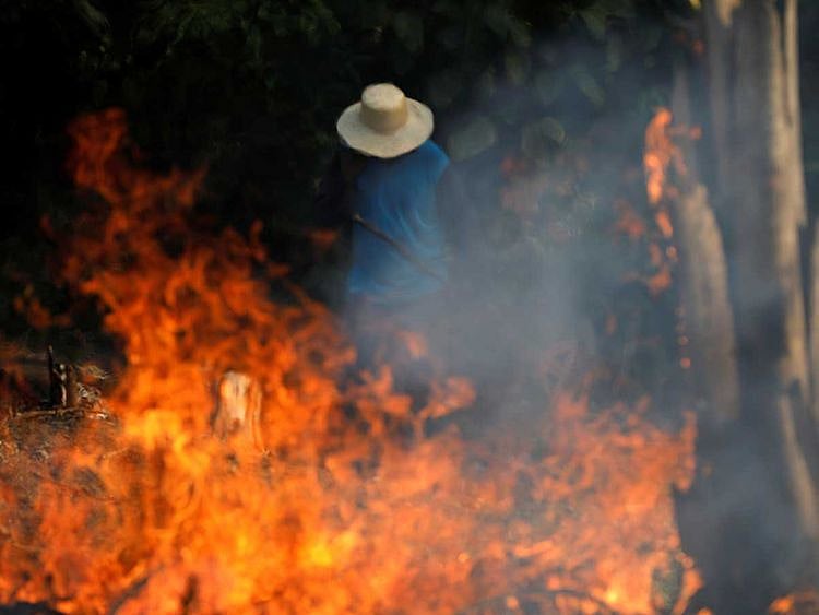 190823 amazon jungle fire