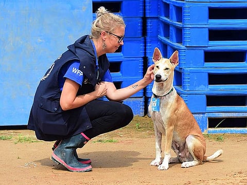 (WFP) official Gemma Snowdon (L) interacts with Foxtrot