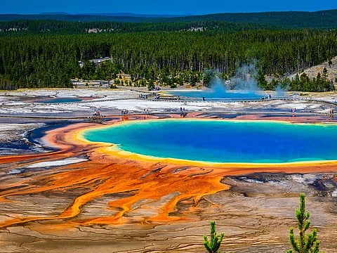 The Yellowstone National Park, Wyoming, United States, on May 2016. The pools steam and bubble, reminding you that this supervolcano is well overdue an eruption. The extraterrestrial-looking mineral-rich pools are caused by bacteria and thermophiles growing around the edges, creating the striking colours. The heat from three super eruptions thousands of years ago still powers the parks geysers, hot springs, fumaroles and mud pots, indicating how frighteningly active this volcano is directly under visitors feet.