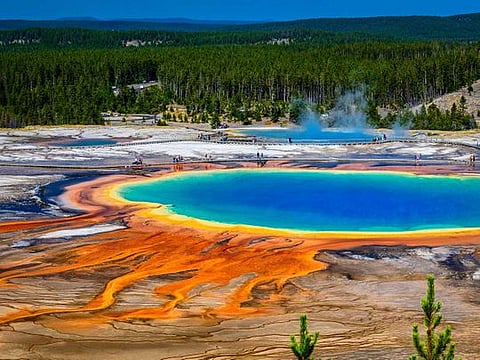 The Yellowstone National Park, Wyoming, United States, on May 2016. The pools steam and bubble, reminding you that this supervolcano is well overdue an eruption. The extraterrestrial-looking mineral-rich pools are caused by bacteria and thermophiles growing around the edges, creating the striking colours. The heat from three super eruptions thousands of years ago still powers the parks geysers, hot springs, fumaroles and mud pots, indicating how frighteningly active this volcano is directly under visitors feet.