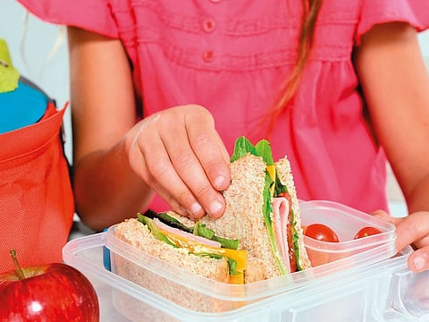 It is important that lunch boxes contain the five main food groups: cereal, dairy, fruit, lean meat and vegetables